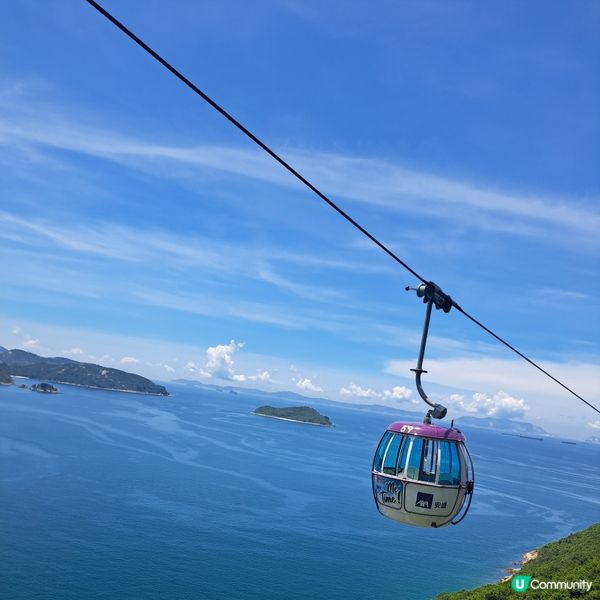 六月生日免費睇大熊貓🥳