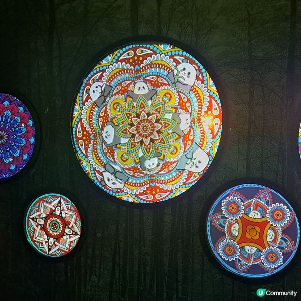 六月生日免費睇大熊貓🥳