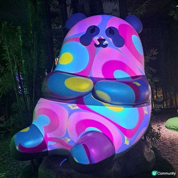 六月生日免費睇大熊貓🥳