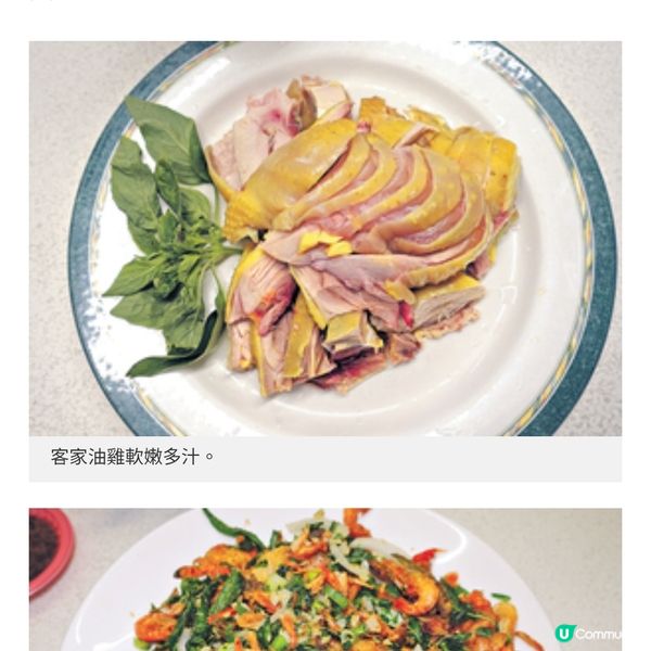 台灣花蓮親子美食之旅在地盛宴嘗軟嫩客家油雞