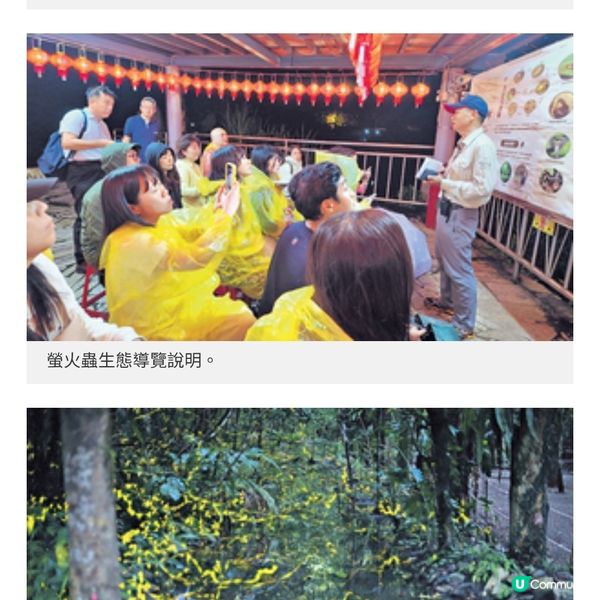 台灣花蓮親子美食之旅在地盛宴嘗軟嫩客家油雞