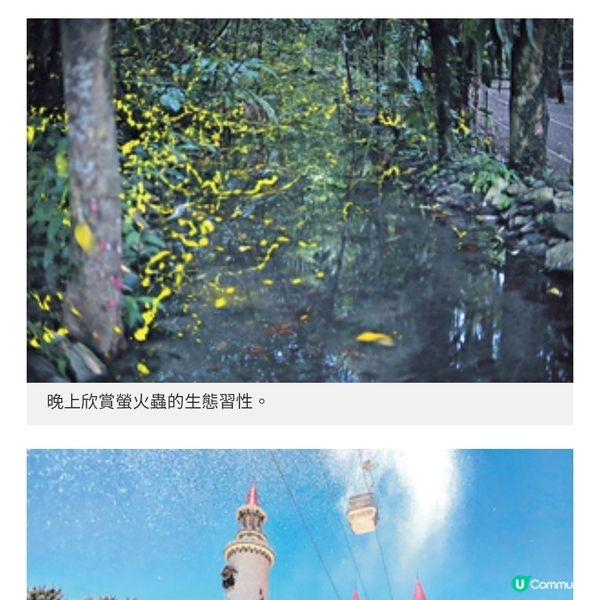 台灣花蓮親子美食之旅在地盛宴嘗軟嫩客家油雞