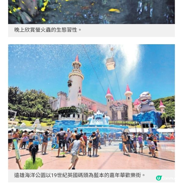 台灣花蓮親子美食之旅在地盛宴嘗軟嫩客家油雞