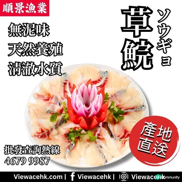 🐟 新鮮草鯇，極致美味從產地直送到港！ 🌿