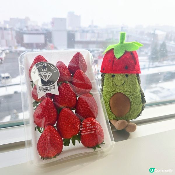 記錄食草莓#10🍓