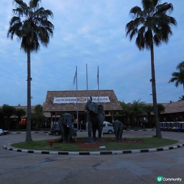 獅城後花園🏕印尼民丹島🏝
