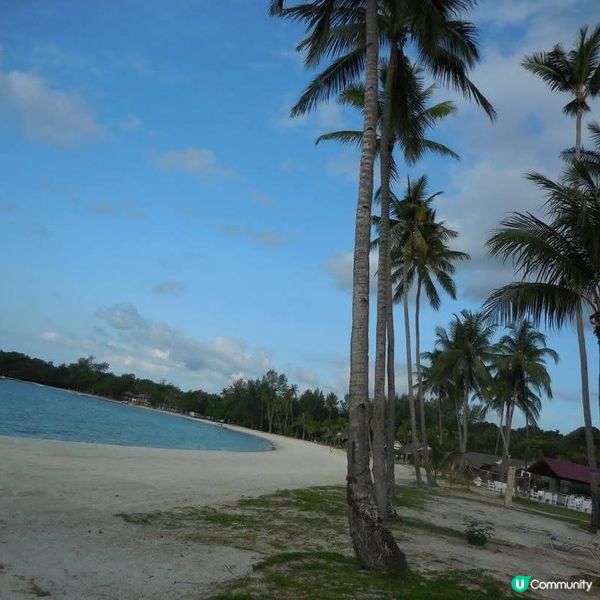 獅城後花園🏕印尼民丹島🏝