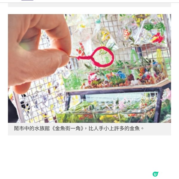 《細看香港》微型藝術展 本地精華遊穿越歷史文化