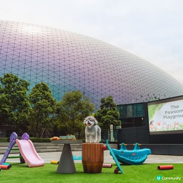 Siete Ocho 戶外寵物同樂餐飲體驗