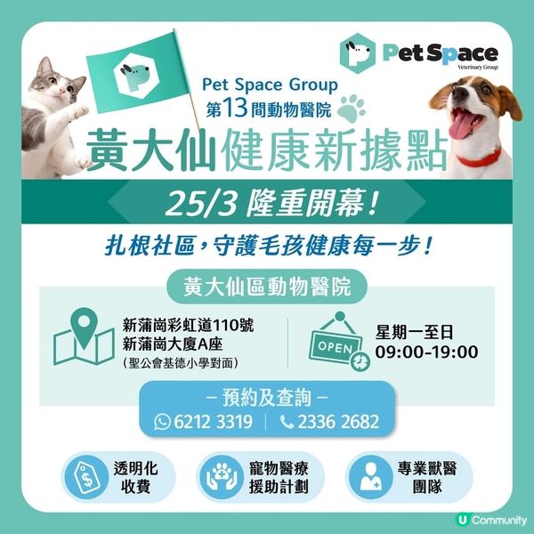 黃大仙區新店開張🎉🐶🐱