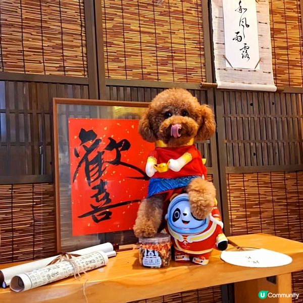 🍵 茶香滿溢，心境悠然