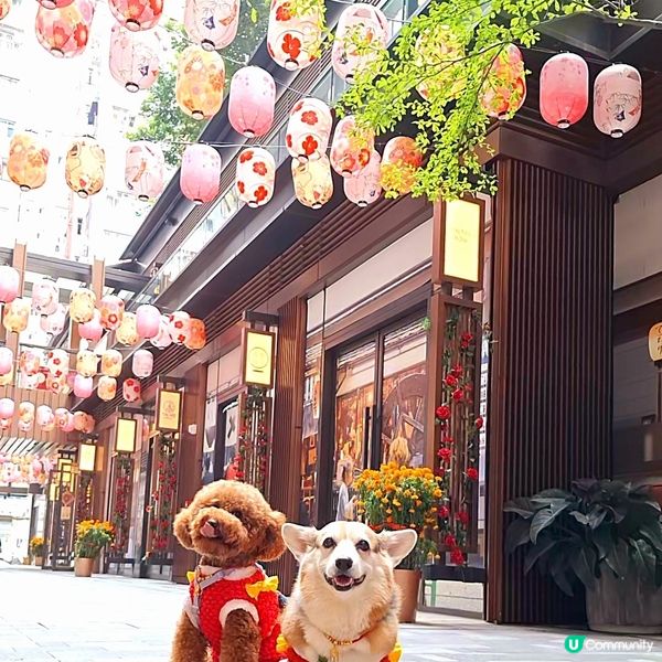 🍵 茶香滿溢，心境悠然