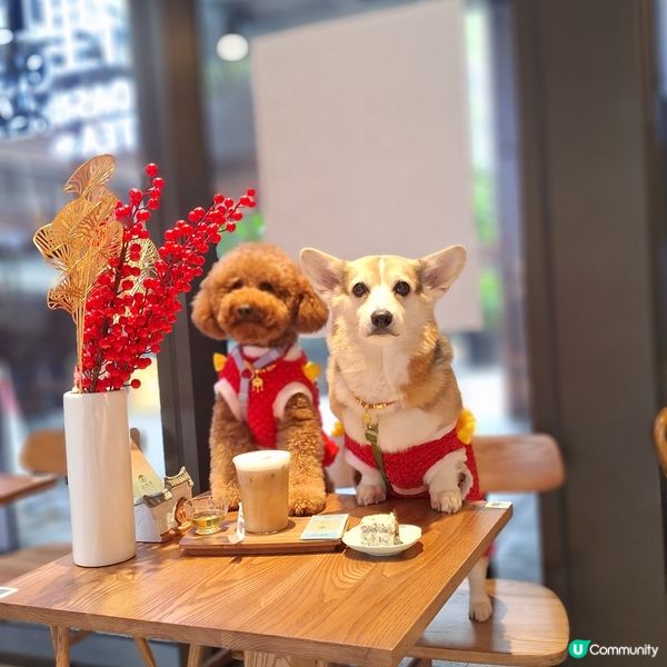 🍵 茶香滿溢，心境悠然