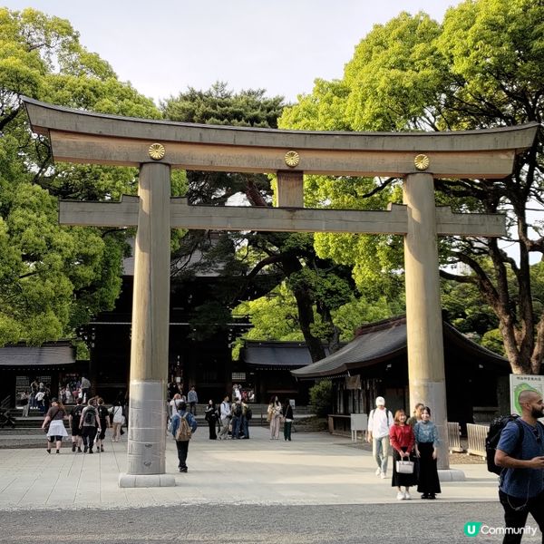 日本東京必去參拜勝地🔥明治神宮超壯麗景觀💜