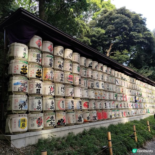 日本東京必去參拜勝地🔥明治神宮超壯麗景觀💜