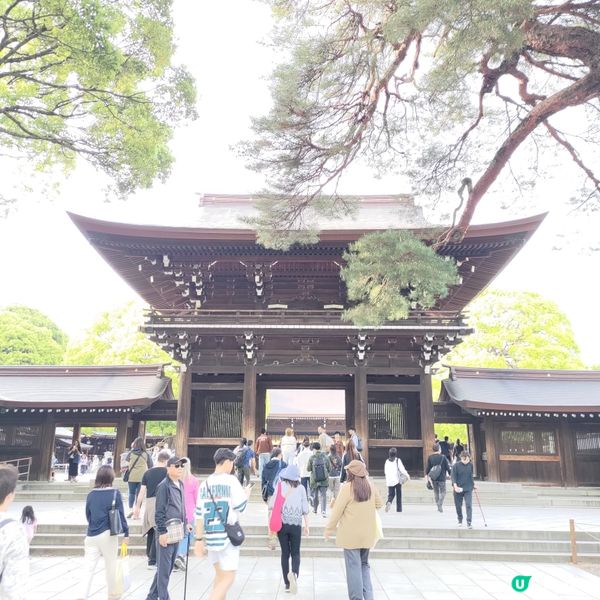 日本東京必去參拜勝地🔥明治神宮超壯麗景觀💜