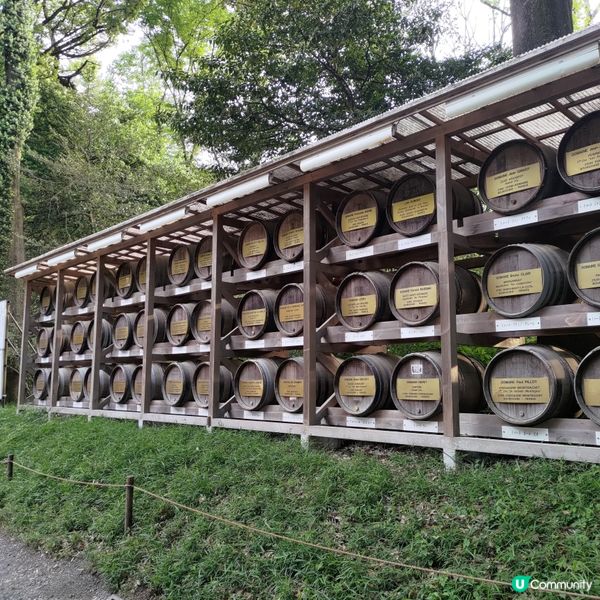 日本東京必去參拜勝地🔥明治神宮超壯麗景觀💜