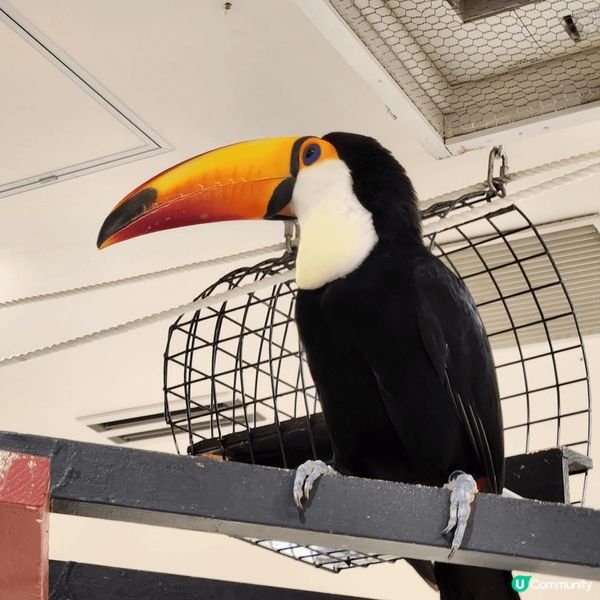 來到久違了的東京，當然不會放過任何打卡影靚相的機會，從標誌性...