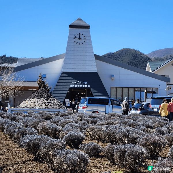 來到久違了的東京，當然不會放過任何打卡影靚相的機會，從標誌性...