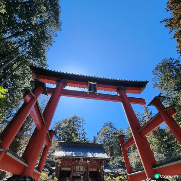 來到久違了的東京，當然不會放過任何打卡影靚相的機會，從標誌性...