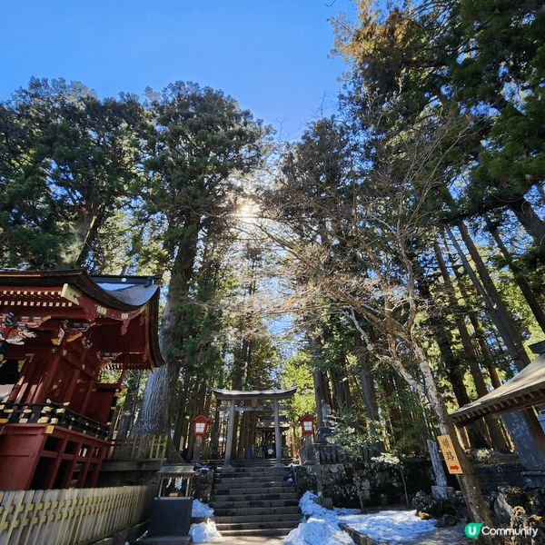 來到久違了的東京，當然不會放過任何打卡影靚相的機會，從標誌性...