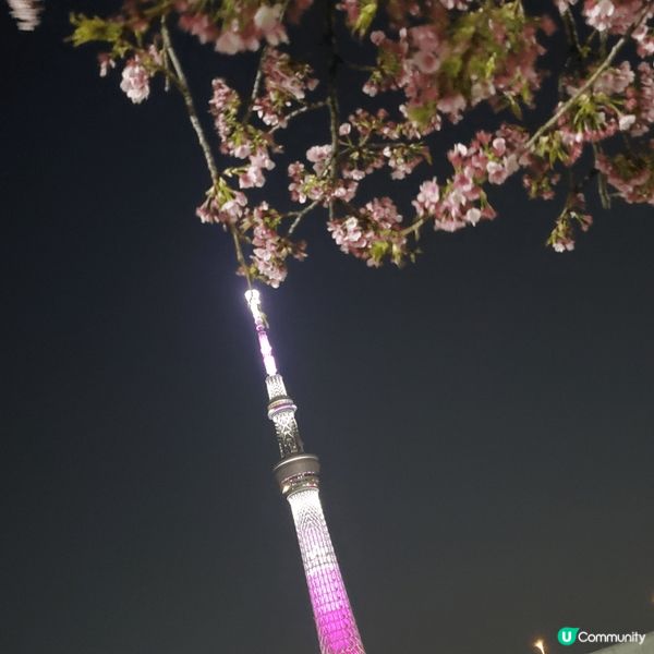 來到久違了的東京，當然不會放過任何打卡影靚相的機會，從標誌性...