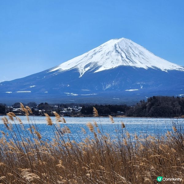 來到久違了的東京，當然不會放過任何打卡影靚相的機會，從標誌性...