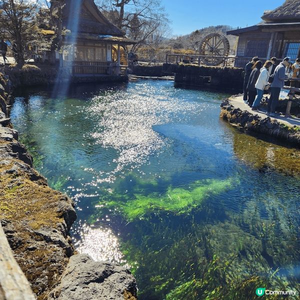 來到久違了的東京，當然不會放過任何打卡影靚相的機會，從標誌性...