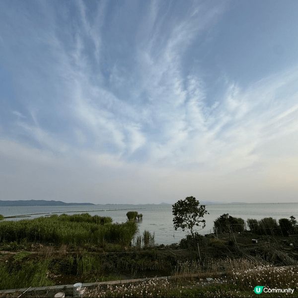 蘇州打卡必食🦞小龍蝦