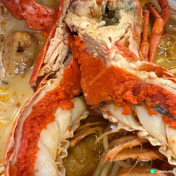 勁大隻龍蝦🦞🩷啖啖肉又多膏，超抵食