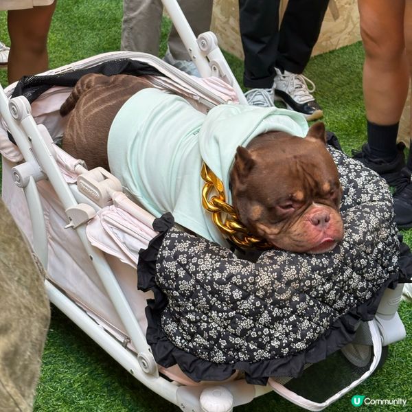 【新城市父親節市集☕️】咖啡控必去！蠟燭+試飲！