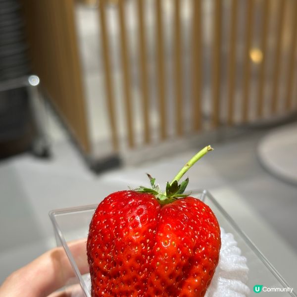 士多啤梨🍓解饞又消暑！SOGO一粒起！😋