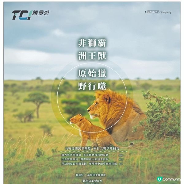 勝景遊 非獅霸 洲王獸 原始獵 野行噬