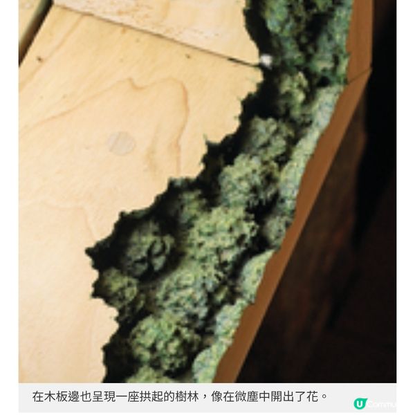 直擊瀨戶內國際藝術祭跳島遊體驗 艷紅潑金點綴海島風情