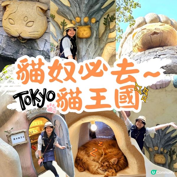 💟超萌‼️超好拍‼️喵星人王國‼️ 🌈
