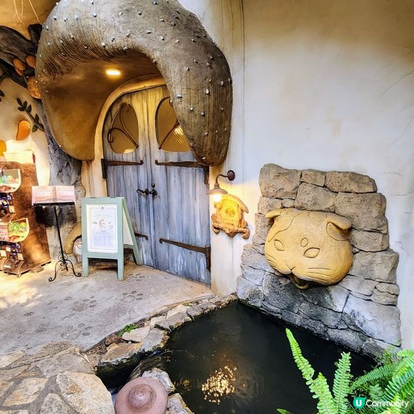 💟超萌‼️超好拍‼️喵星人王國‼️ 🌈
