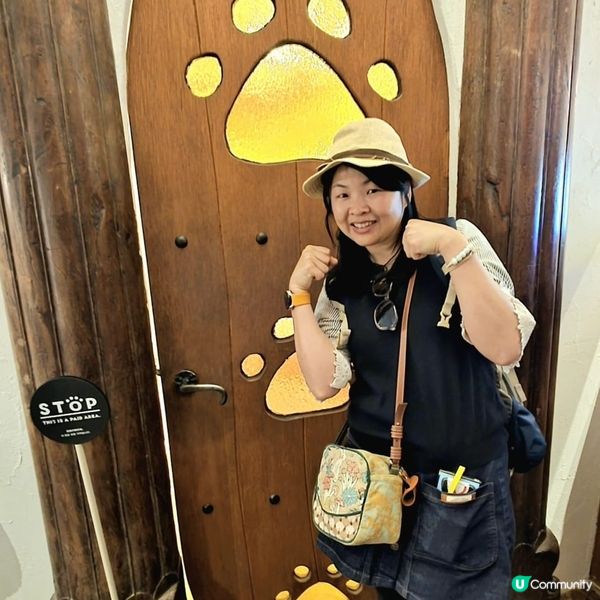 💟超萌‼️超好拍‼️喵星人王國‼️ 🌈
