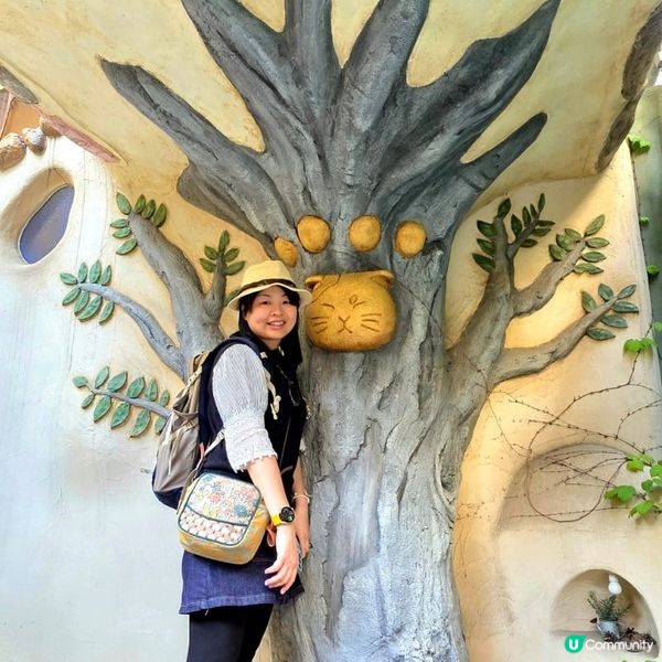 💟超萌‼️超好拍‼️喵星人王國‼️ 🌈
