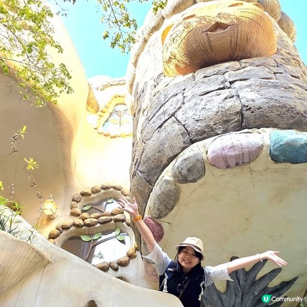 💟超萌‼️超好拍‼️喵星人王國‼️ 🌈
