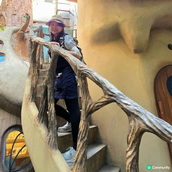 💟超萌‼️超好拍‼️喵星人王國‼️ 🌈
