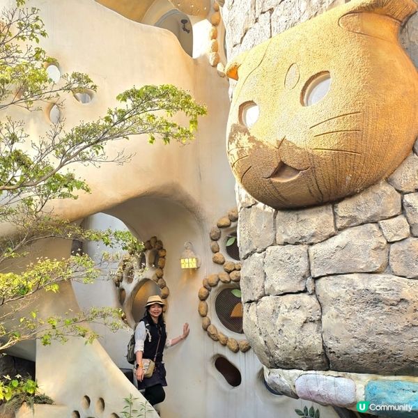 💟超萌‼️超好拍‼️喵星人王國‼️ 🌈
