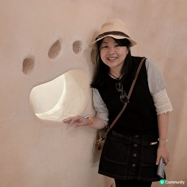 💟超萌‼️超好拍‼️喵星人王國‼️ 🌈
