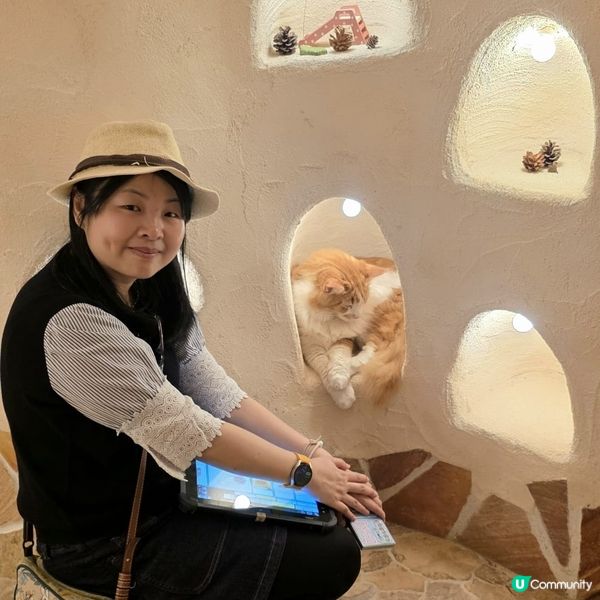 💟超萌‼️超好拍‼️喵星人王國‼️ 🌈
