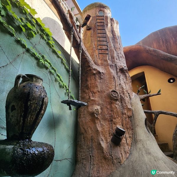 💟超萌‼️超好拍‼️喵星人王國‼️ 🌈
