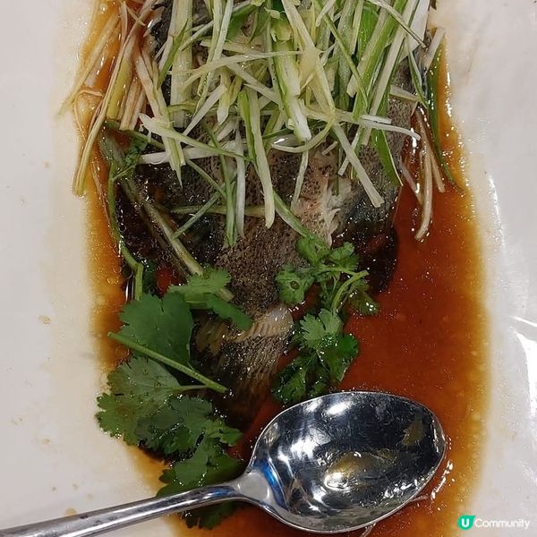 鋒味廚房🤤寵物友善中菜！菠蘿咕嚕肉必食😋