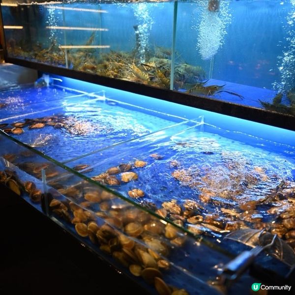 ✨ 大西洋海鮮火鍋，葵芳必食新熱點🦞🦑🔥