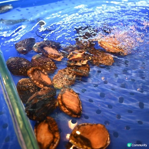 ✨ 大西洋海鮮火鍋，葵芳必食新熱點🦞🦑🔥