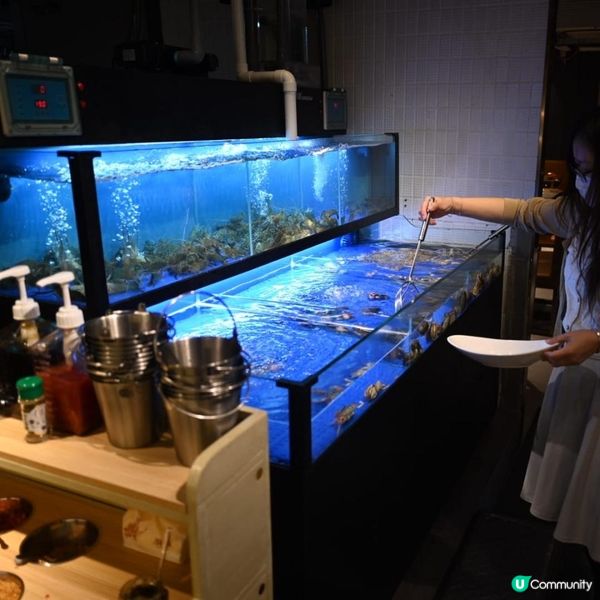 ✨ 大西洋海鮮火鍋，葵芳必食新熱點🦞🦑🔥