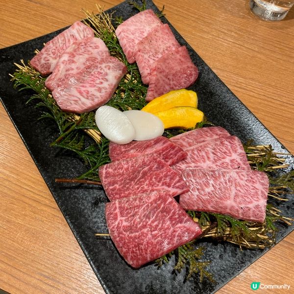 ✈️東京 。Kollabo