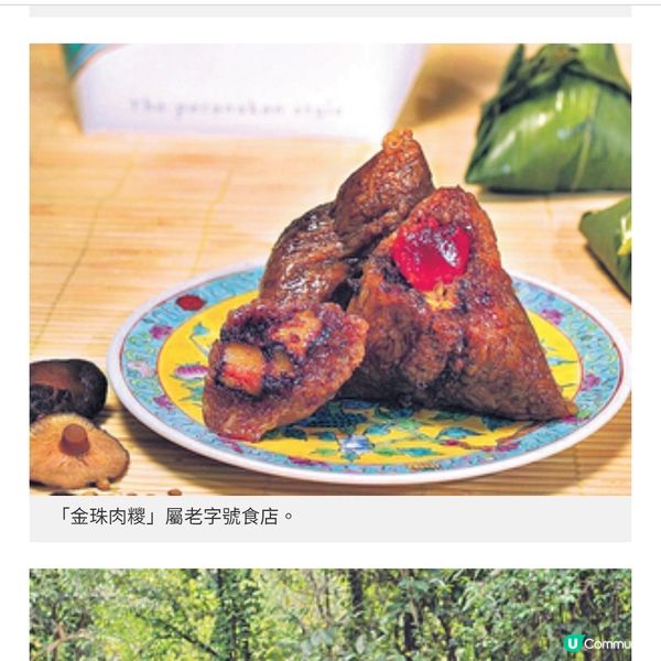 COLLAR新加坡食買玩攻略必食星級肉骨茶體驗室內懸浮飛行